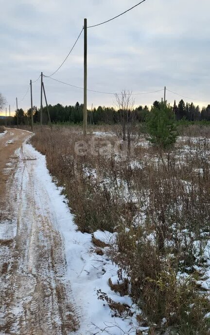 земля г Краснокамск п Ласьва снт Ласьва фото 3