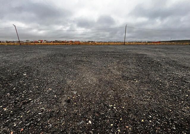 р-н Тосненский п Красный Бор Московское шоссе, 22 км, городской пос. Красный Бор, Красноборское городское поселение фото