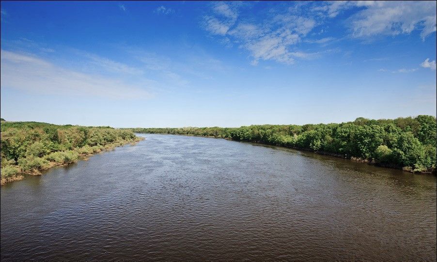 земля р-н Елецкий с Задонье Голиковский сельсовет, Донское фото 3