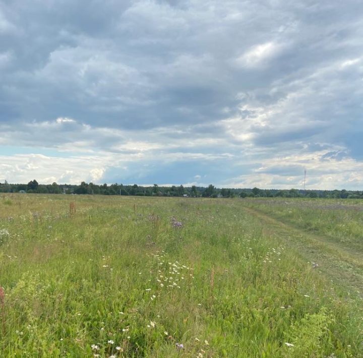 земля городской округ Дмитровский фото 1