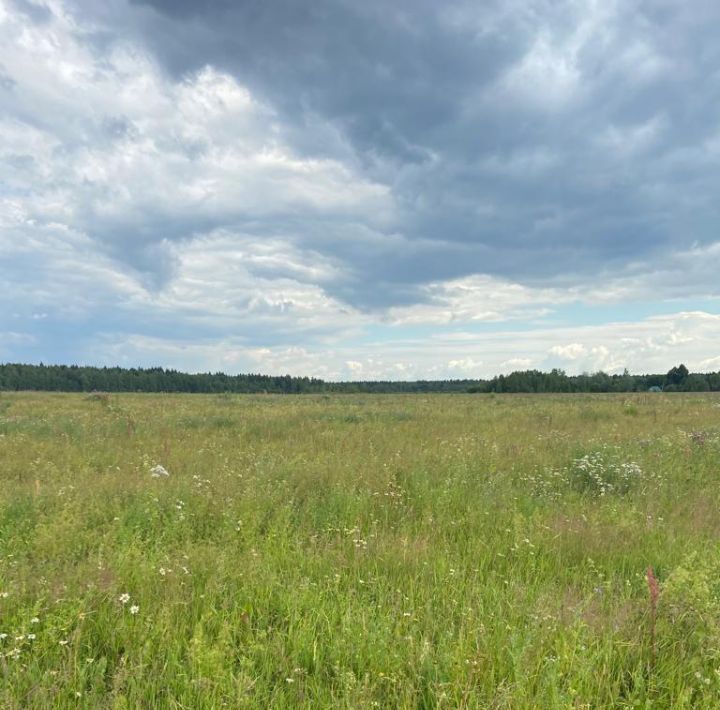 земля городской округ Дмитровский фото 3