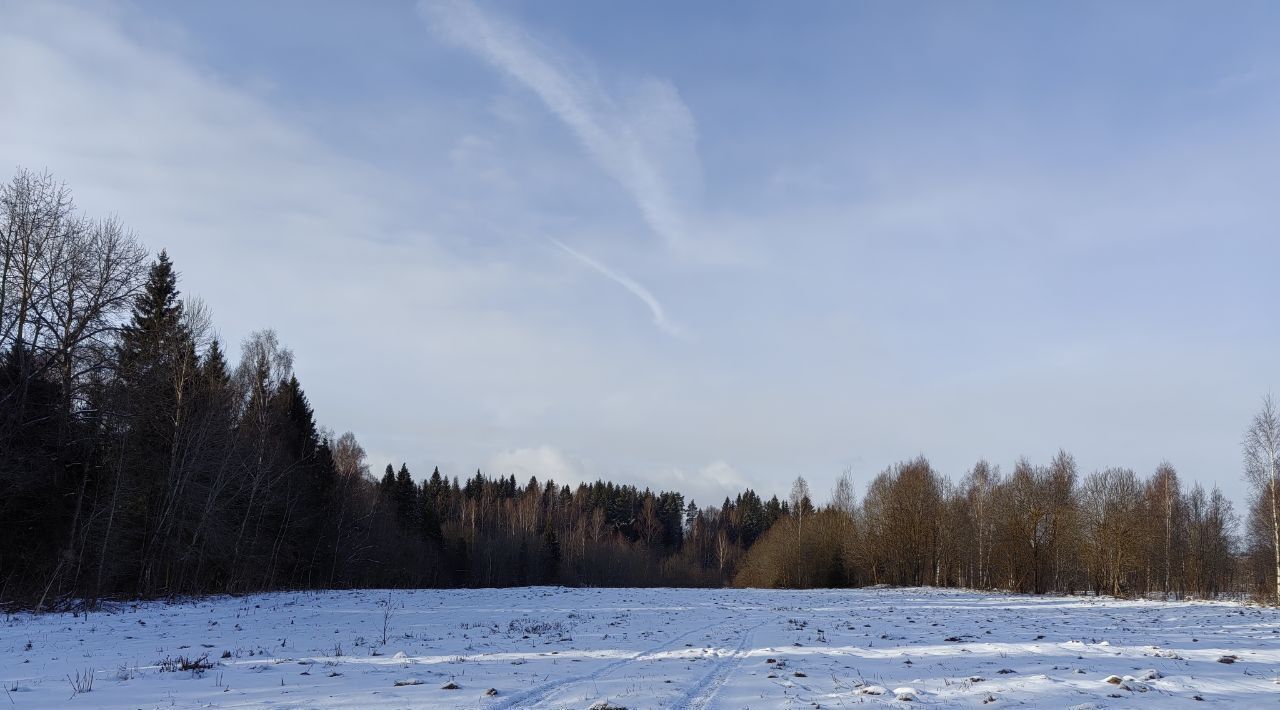 земля городской округ Дмитровский с Храброво фото 3