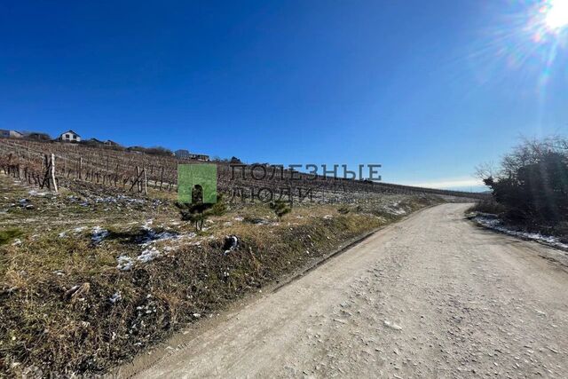 земля Новороссийск городской округ фото