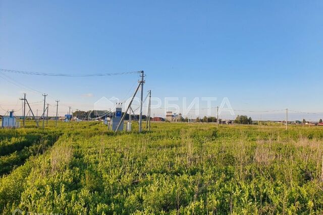 Тюмень городской округ, СНТ Березняки фото