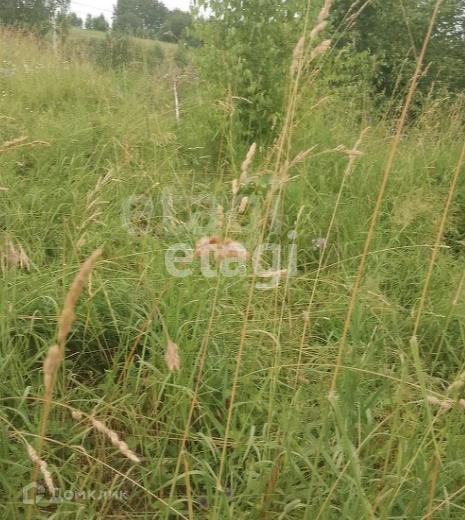 земля г Горно-Алтайск снт Садовод Горно-Алтайск городской округ, 19 фото 1