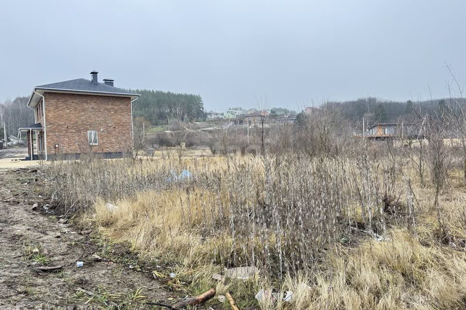 земля р-н Рамонский д. Новоподклетное фото 1