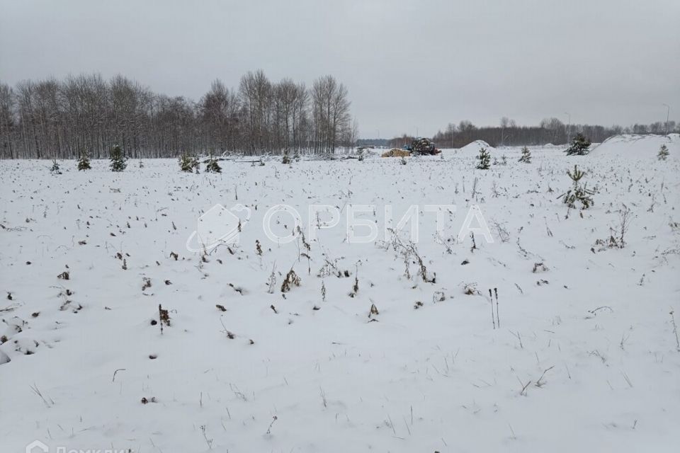 земля г Тюмень пл Центральная Тюмень городской округ фото 3