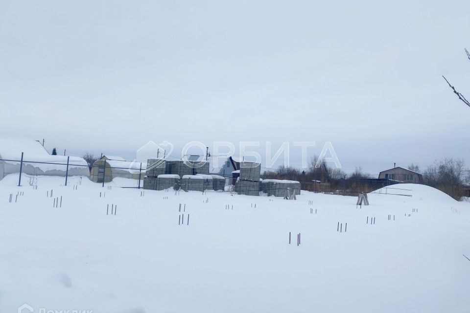 земля Тюмень городской округ, СО Сирень, Виноградная улица, 280 фото 2