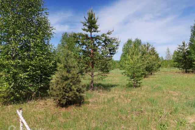 Нижний Тагил городской округ, СНТ 20 Белая Леба фото