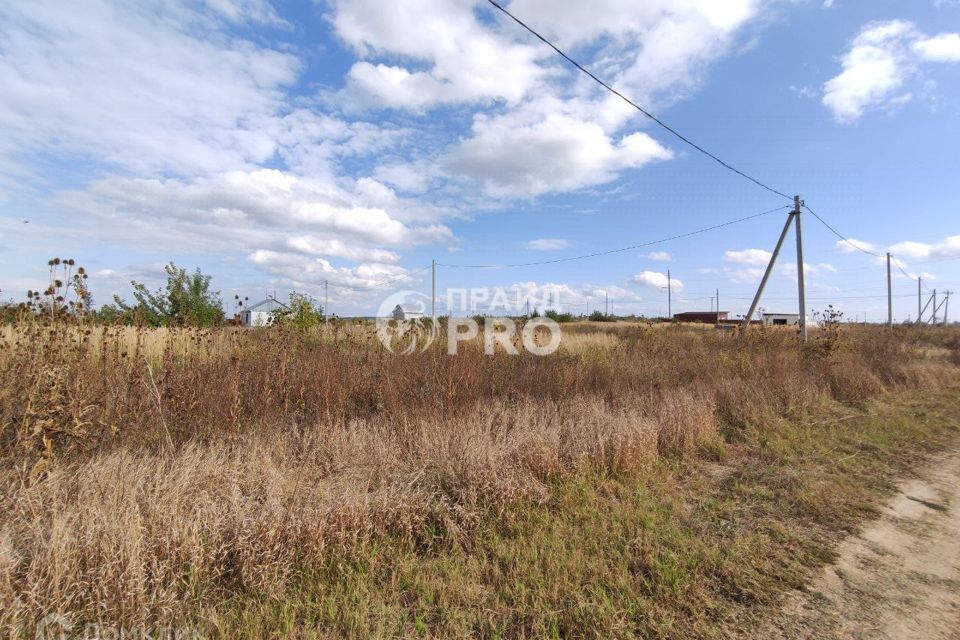 земля р-н Анапский с Юровка Анапа городской округ, Садовая фото 4