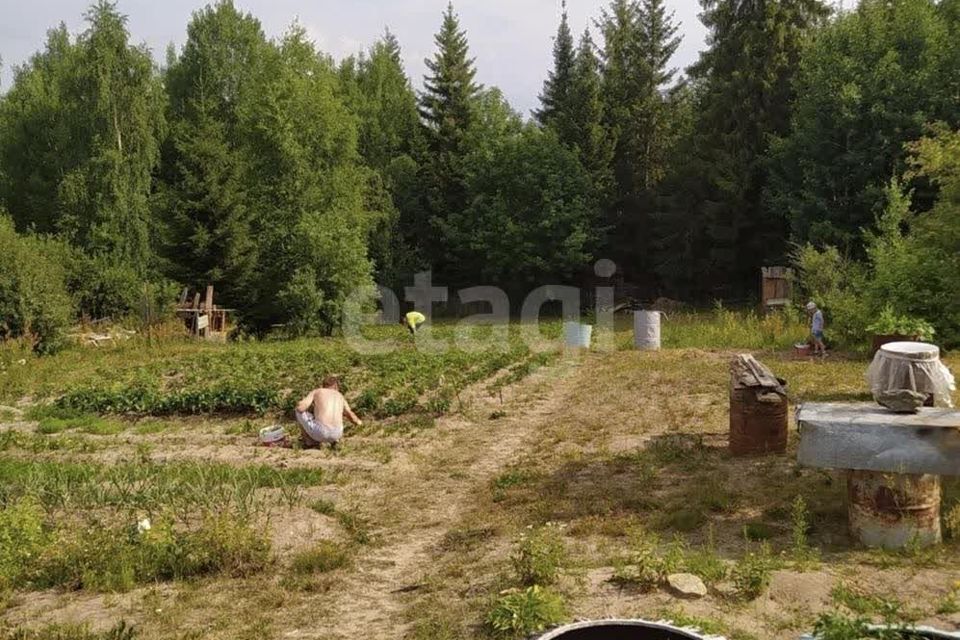 земля г Добрянка п Полазна Добрянский городской округ, СТ Мичуринец фото 3