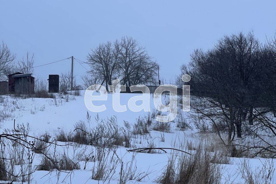 земля р-н Белгородский с. Соломино фото 3