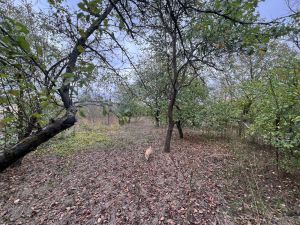 земля Краснодар городской округ, пос. Белозёрный фото 2