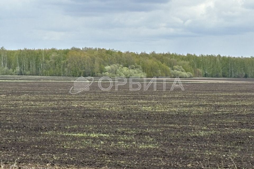 земля р-н Тюменский Соловьиная 2-я фото 3