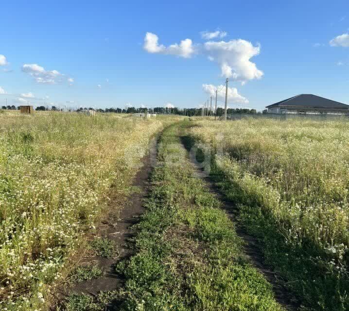 земля р-н Рамонский фото 1