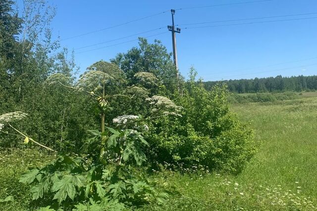 р-н Переславский д Куряниново ул Тихая Переславль-Залесский городской округ фото