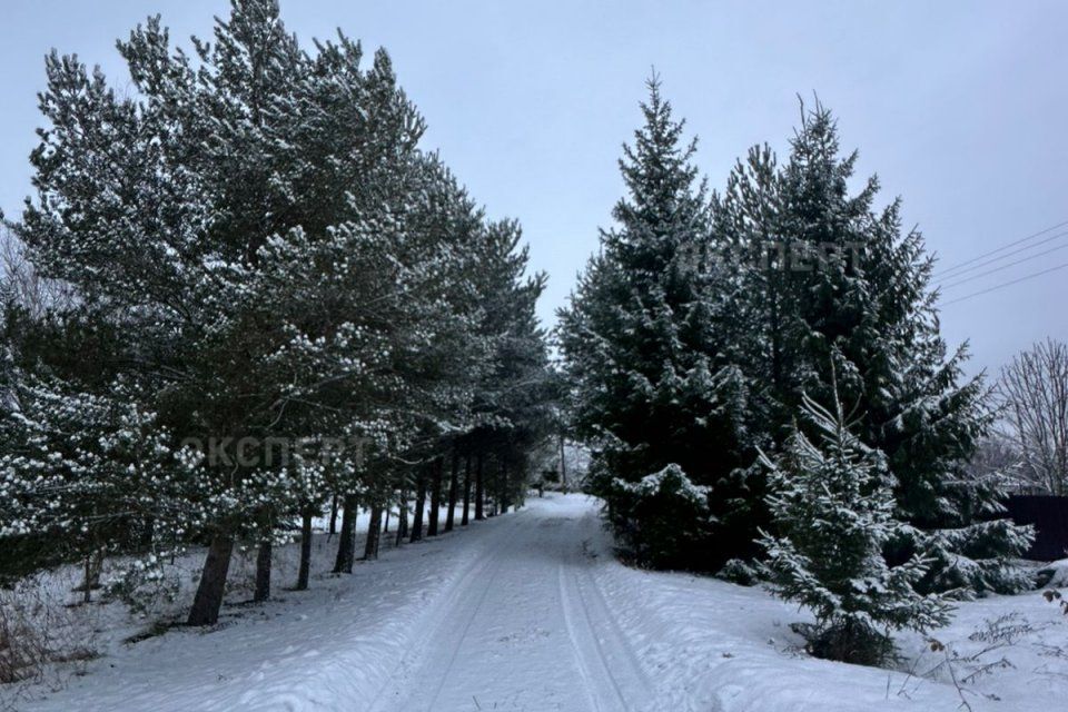 земля р-н Новгородский д Подберезье ул Школьная 2а фото 2