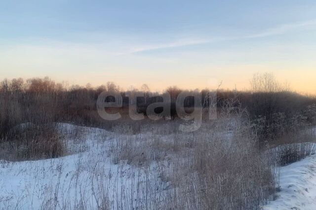 тракт Велижанский Тюмень городской округ фото