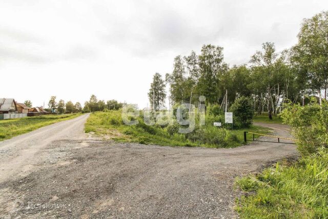 Тюмень городской округ, Европейская Зелёный бор с/о улица фото