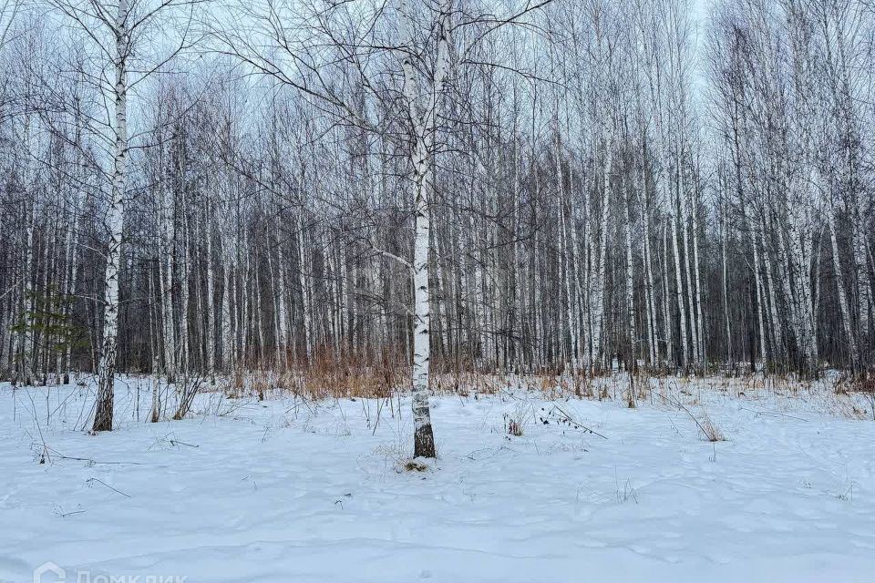 земля г Тюмень снт Светлячок Тюмень городской округ, 2-я улица фото 1