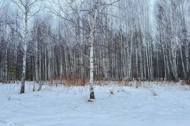 снт Светлячок Тюмень городской округ, 2-я улица фото