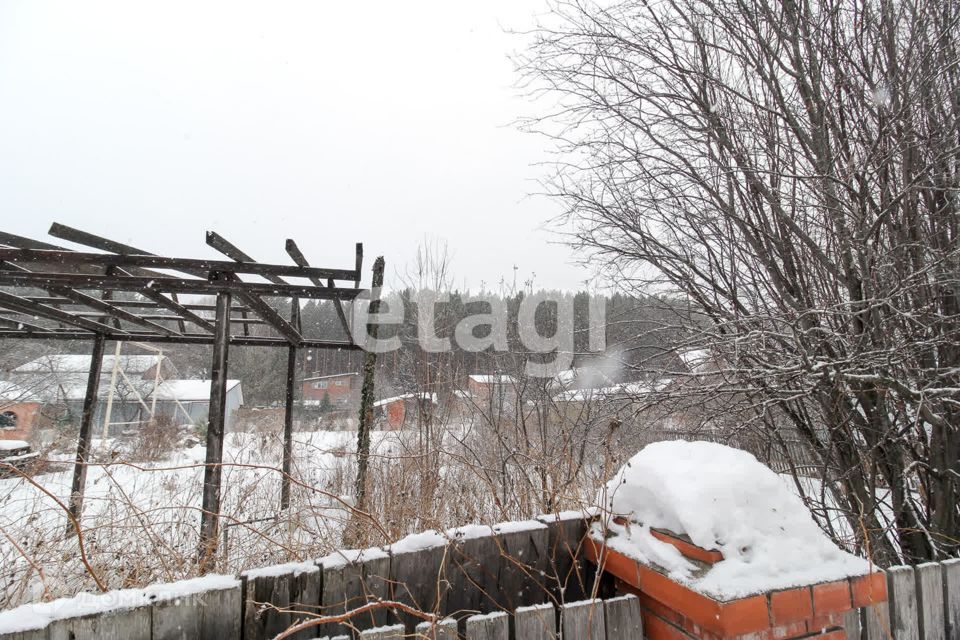 земля Красноярск городской округ, СК Берёзка-2 фото 3