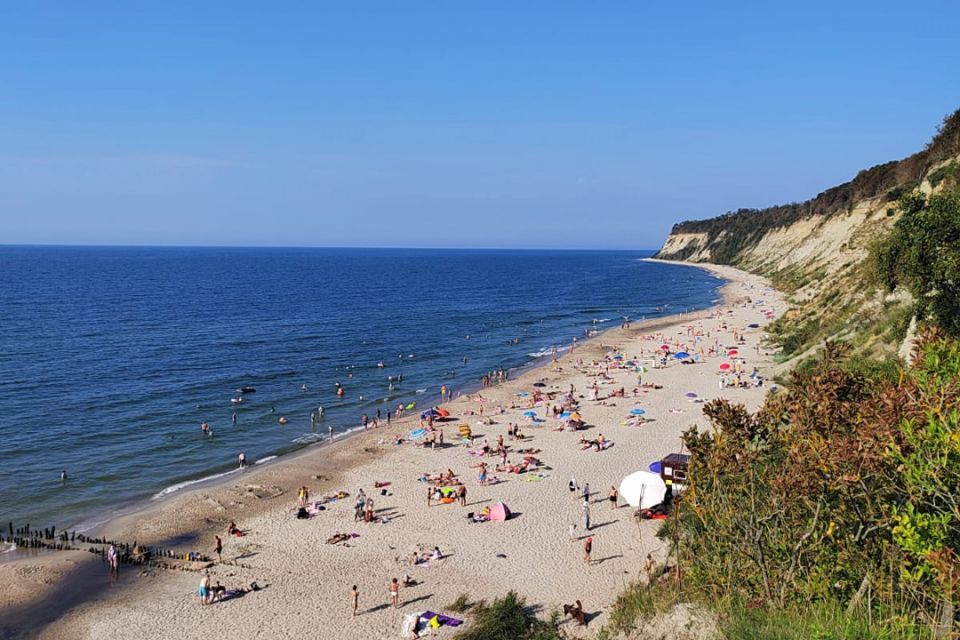 земля р-н Зеленоградский п Сальское ул Молодежная фото 1