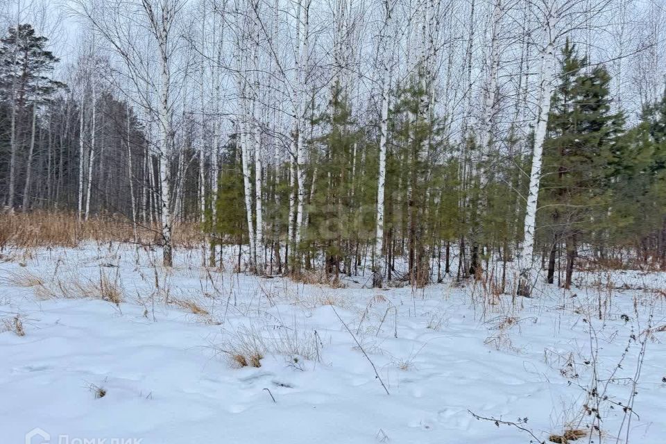 земля р-н Нижнетавдинский с Бухтал ул Садовая фото 4