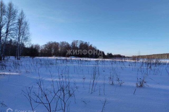 рп. Кольцово городской округ, рп. Кольцово фото