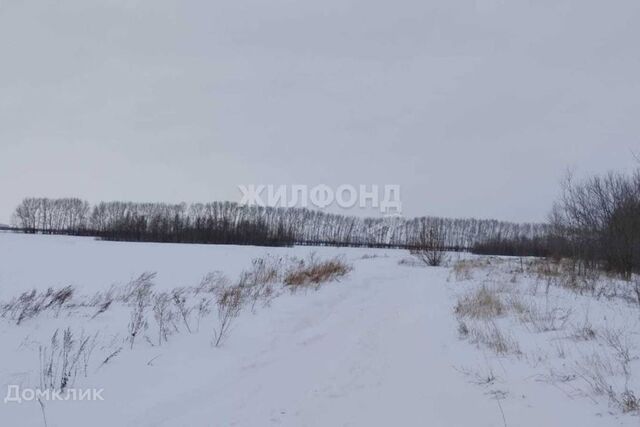 тракт Омский тракт Обь городской округ фото