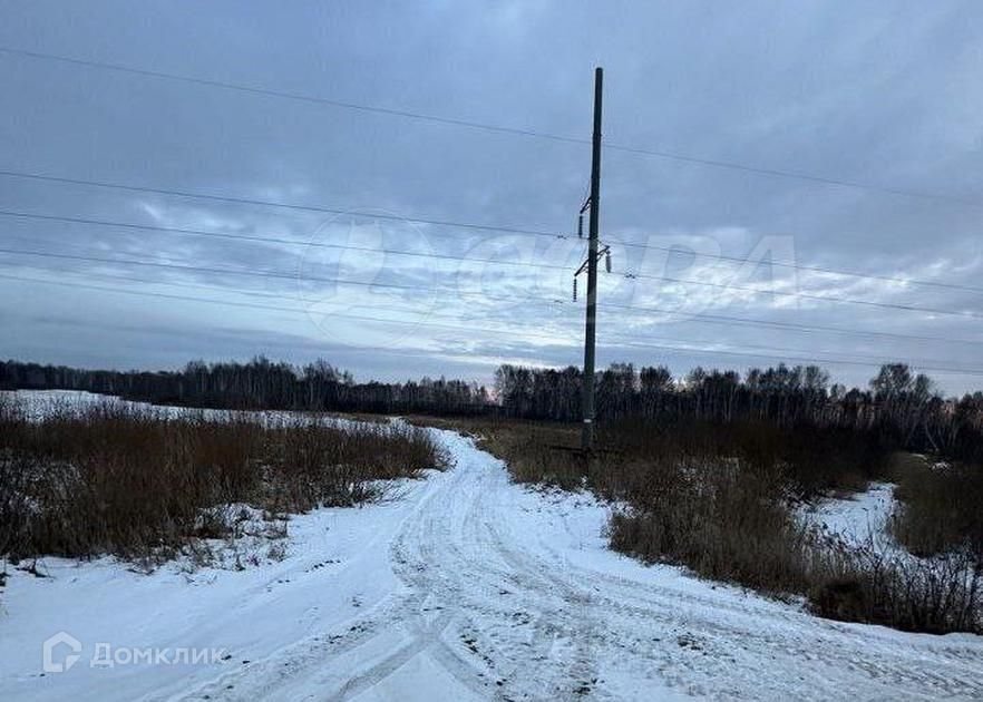 земля р-н Нижнетавдинский фото 3