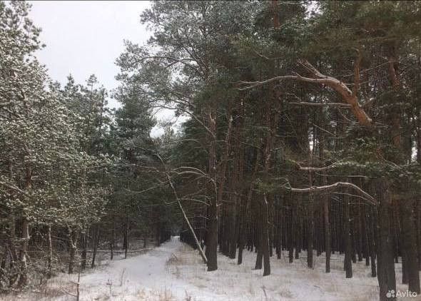 земля р-н Курский д. Зорино Рышковский сельсовет фото 2