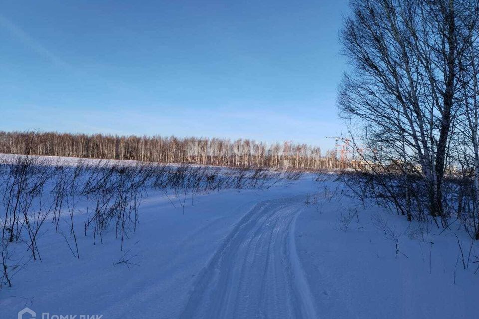 земля рп. Кольцово городской округ, рп. Кольцово фото 2