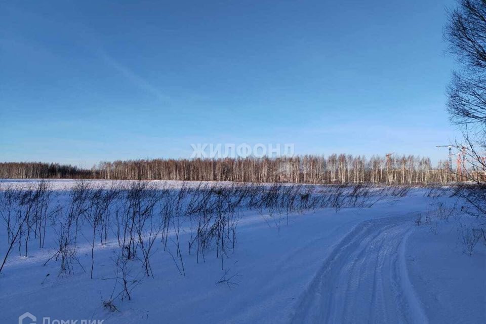 земля рп. Кольцово городской округ, рп. Кольцово фото 3