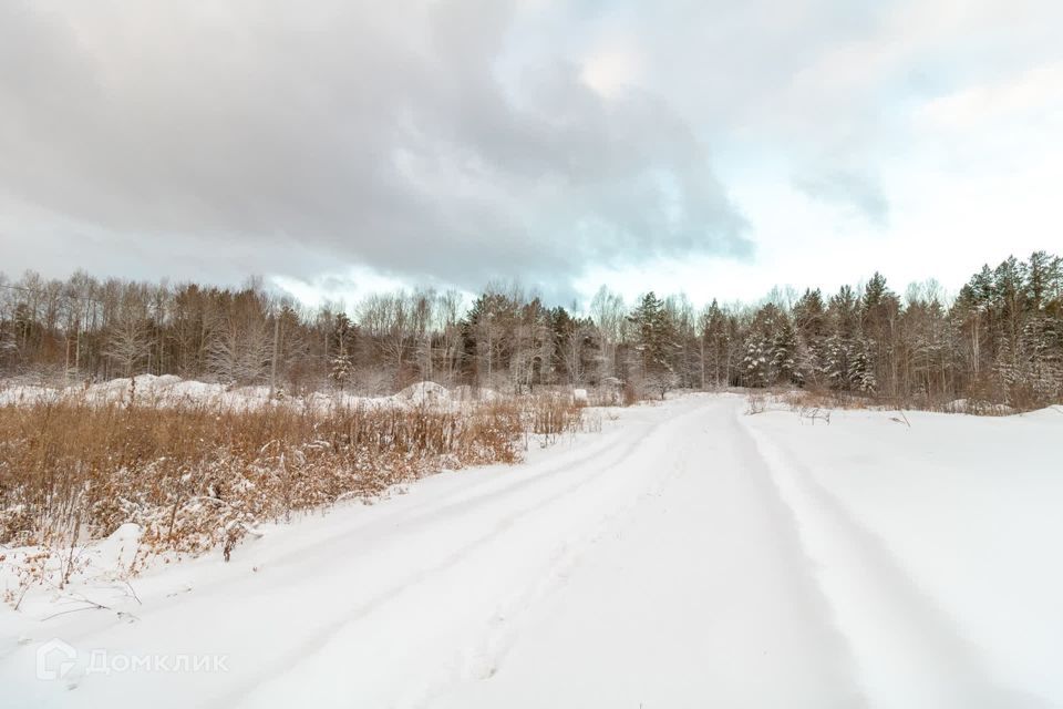 земля р-н Нижнетавдинский с. Тюнево фото 8