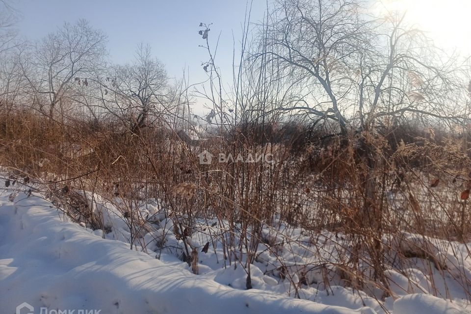 земля г Благовещенск СТ Мясокомбинат, Благовещенск городской округ фото 5