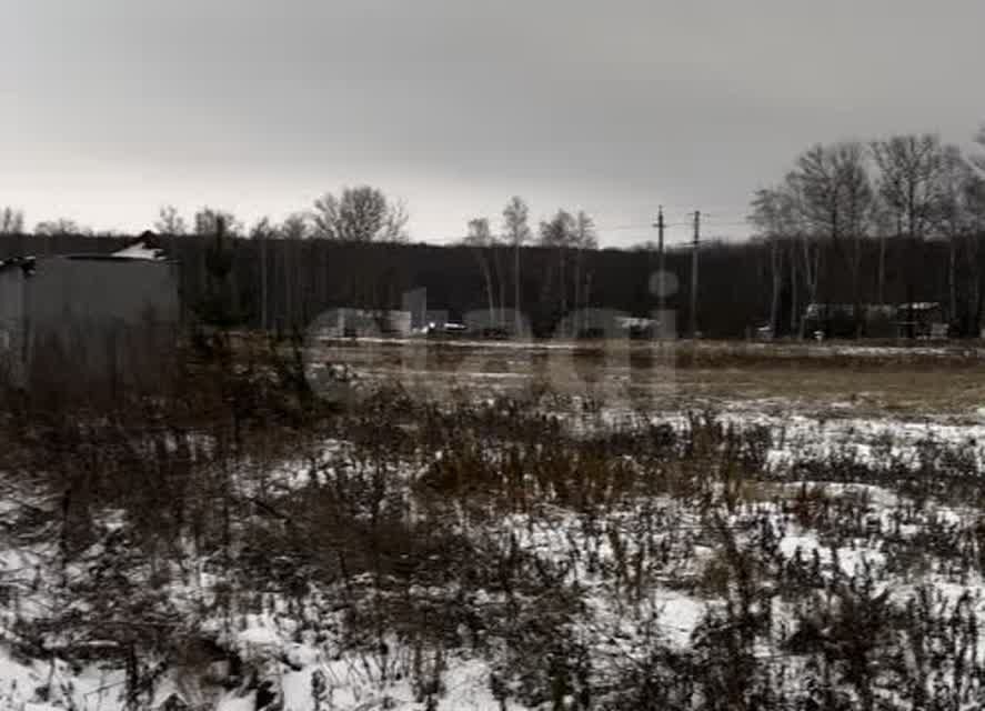 земля р-н Ленинский д Медвенка ул Кленовая 12 Тула городской округ фото 6