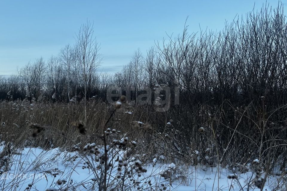 земля г Тюмень снт Липовый остров ул 1-я Западная Тюмень городской округ фото 5