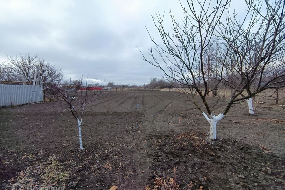 дом р-н Щербиновский ст-ца Новощербиновская ул Ейская фото 7