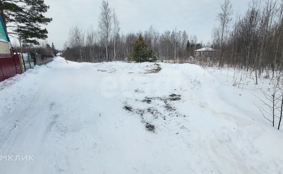 земля г Тюмень СНТ Нива, Тюменский район фото 2