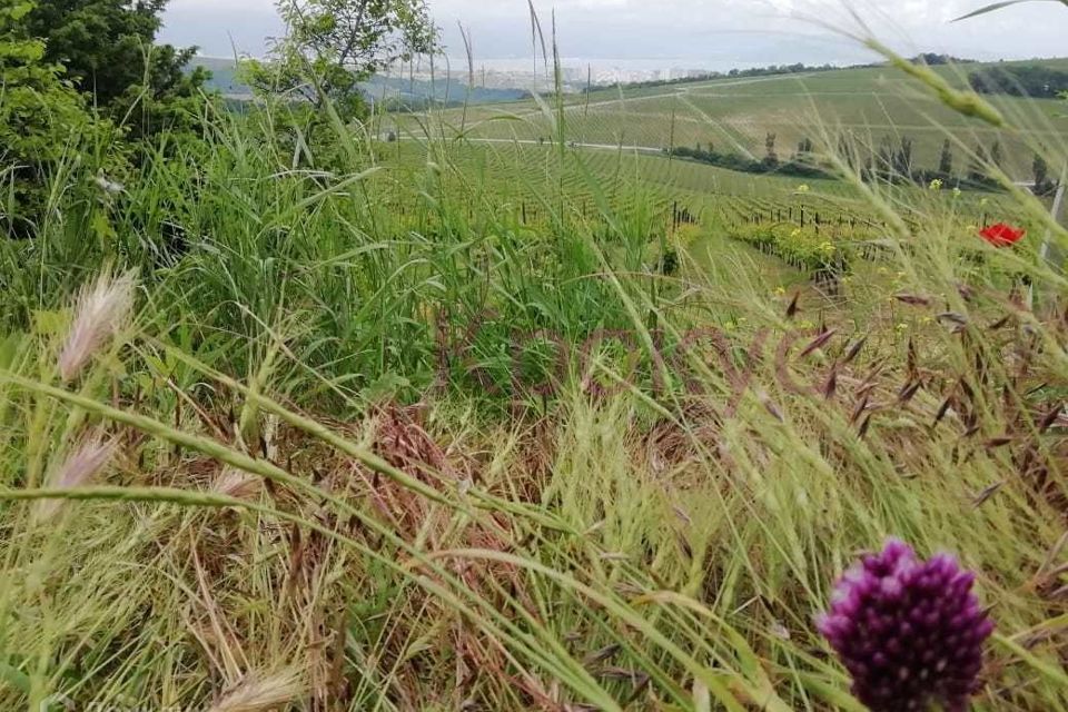 земля Новороссийск городской округ, СНТ Пролетарец, 40 фото 7