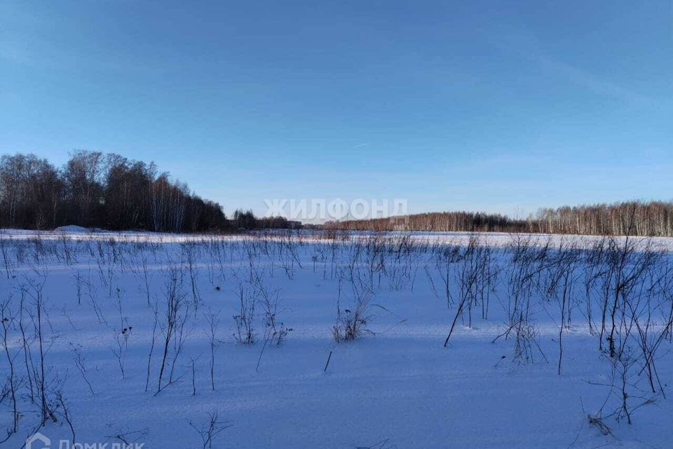 земля рп. Кольцово городской округ, рп. Кольцово фото 5