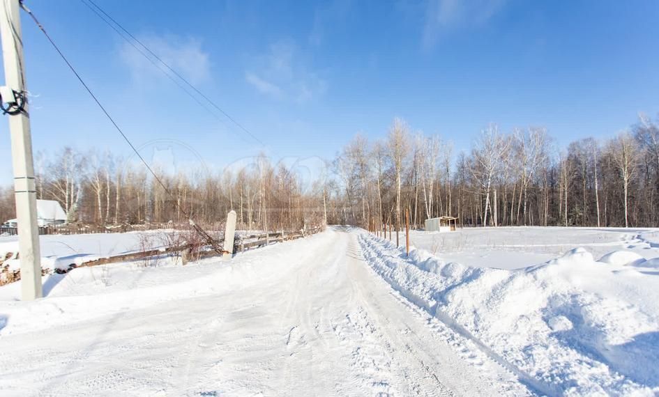 земля г Тобольск пер Дачный фото 3