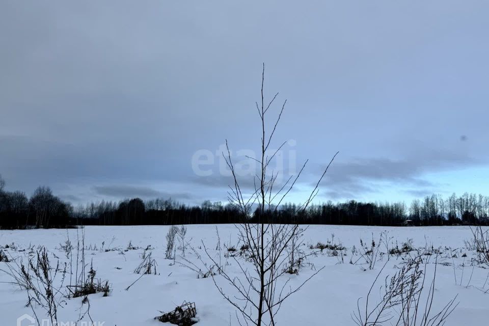 земля р-н Вологодский д. Дитятьево фото 5