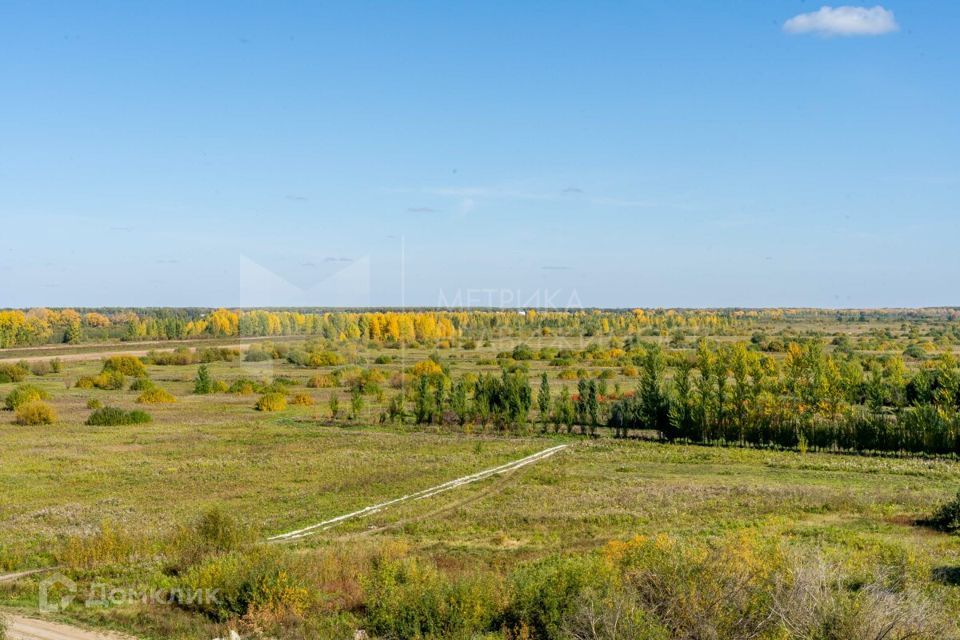 земля р-н Тюменский фото 2