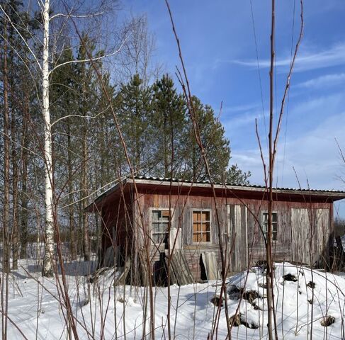 д Шумба ул Лесная 4 Форносовское городское поселение фото