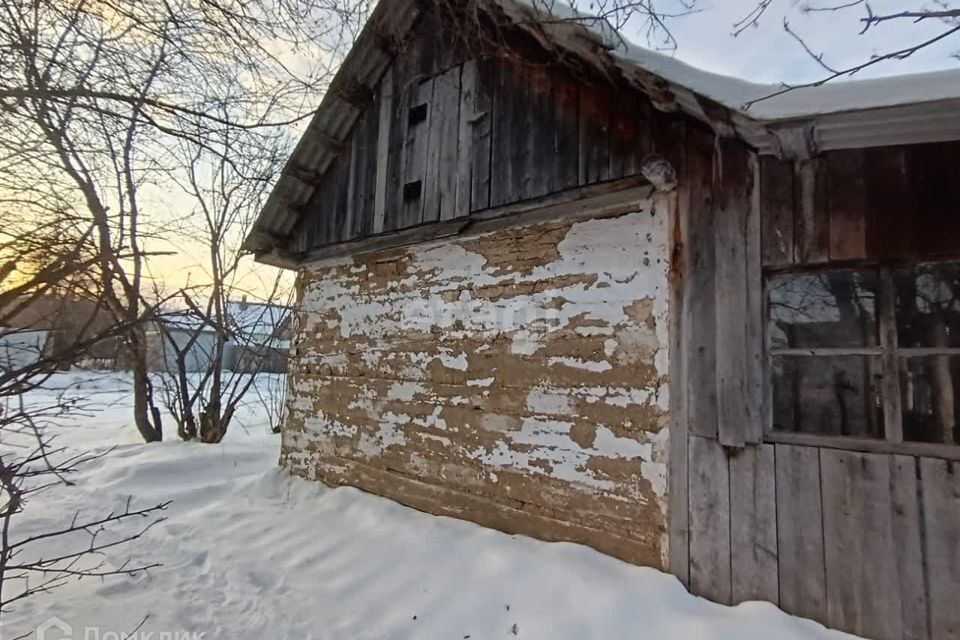 земля р-н Камышловский д. Борисова фото 3