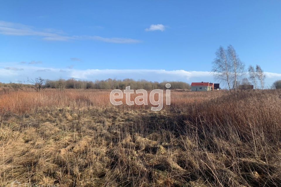 земля р-н Гурьевский пос. Заозерье фото 2