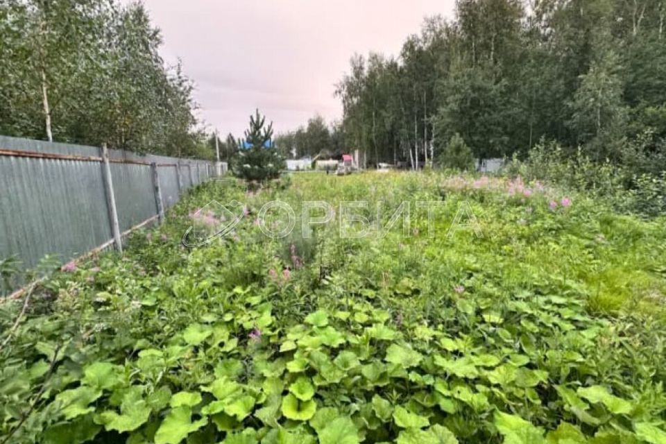 земля Тюмень городской округ, СО Весна, Каштановая улица, 3 фото 4