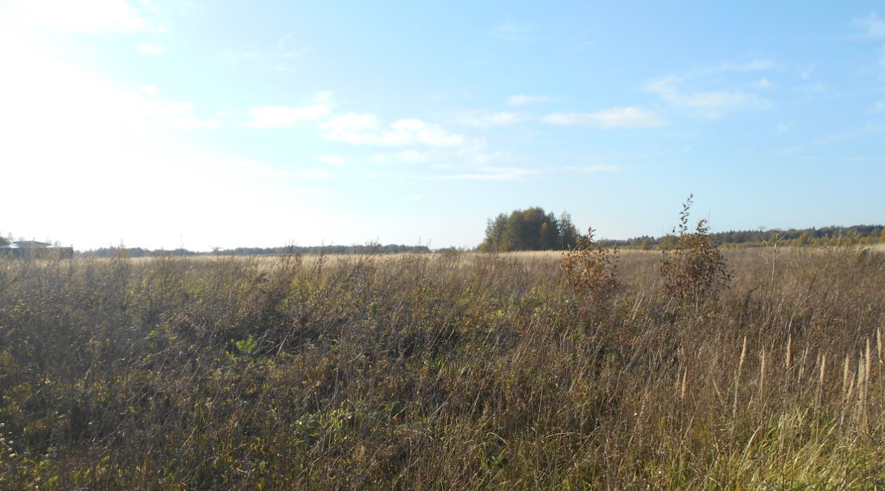 земля городской округ Шаховская д Новомихайловское фото 1